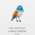 The SOFTEST THINGS BREAK TOO