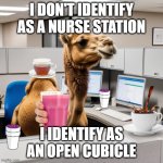 Office drinks | I DON'T IDENTIFY AS A NURSE STATION; I IDENTIFY AS AN OPEN CUBICLE | image tagged in office camel 2,nurse,hospital,nurses | made w/ Imgflip meme maker