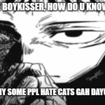 Itadori Yuji Son | ''YES I LIKE BOYKISSER, HOW DO U KNOW THAT?''; THATS WHY SOME PPL HATE CATS GAH DAYUM💔🥀 | image tagged in itadori yuji son | made w/ Imgflip meme maker