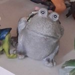 Seen Some Stuff Frog