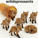 fox antidepressants meme