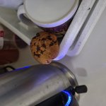 Lost cookie in the kitchen