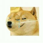 dog wearing mask pretending To sad