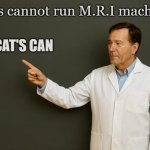 Dad joke | Dog's cannot run M.R.I machines; CAT'S CAN | image tagged in lou,dad joke | made w/ Imgflip meme maker