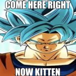 Come here right now kitten meme