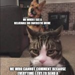 I can't comment. | ME WHEN I SEE A RELATABLE OR FANTASTIC MEME; ME WHO CANNOT COMMENT BECAUSE EVERYTIME I TRY TO SEND A VERIFICATION OR WHATEVER, IT DOESN'T WORK. | image tagged in happy dog and annoyed cat | made w/ Imgflip meme maker