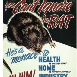 Rat Propaganda