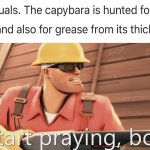 Hunting capybaras is the last straw. Start praying, boy. | image tagged in start praying boy,capybara,tf2 | made w/ Imgflip meme maker