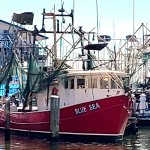 Shrimp Boat