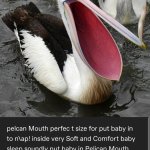Baby in Pelican Mouth