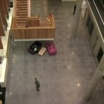 The Thick Of It - Hey Get Back To Work