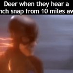 Then they be standing still while they watch a car going 100mph head straight for them | Deer when they hear a branch snap from 10 miles away: | image tagged in gifs,funny,meme,memes,funny meme,funny memes | made w/ Imgflip video-to-gif maker