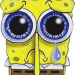 sad sponge