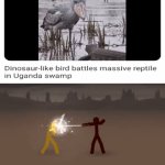 The battle | image tagged in gifs,bird,battle,blank white template,memes,reptile | made w/ Imgflip video-to-gif maker