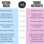 Trans Activists  are nazis