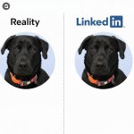 Linkedin Dog