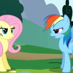 Fluttershy and Rainbow Dash arguing