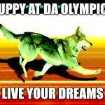 Ouppy at da olympics | OUPPY AT DA OLYMPICS; LIVE YOUR DREAMS | image tagged in vlciak at the olympics,olympics,doggy,winter olympics,funny dogs,dogs | made w/ Imgflip meme maker