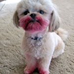 Chrisjoines1 template