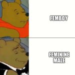 Use  the term Feminine Male next time you see a femboy. That's the proper way to address them. | FEMBOY; FEMININE MALE | image tagged in fancy winnie the pooh meme | made w/ Imgflip meme maker