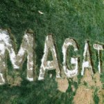 MAGAt burned into lawn Neighbors Friends Day of Rage