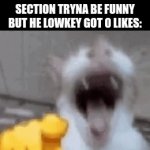 this | HOW IT FEELS SEEING YO HB IN SOMEONES COMMENT SECTION TRYNA BE FUNNY BUT HE LOWKEY GOT 0 LIKES: | image tagged in gifs,memes,funny,relatable,true story,friends | made w/ Imgflip video-to-gif maker
