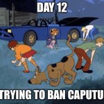 No idea for a title | DAY 12; OF TRYING TO BAN CAPUTUNG | image tagged in scooby doo search,banana | made w/ Imgflip meme maker