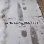 who long a** feet