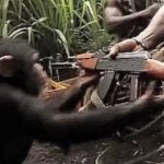 Giving Monkey A Gun