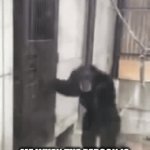 What am I supposed to put here? “This is a funny meme I made. Please upvote it.” | ME WHEN THE PERSON IS STILL IN THERE AND I’VE BEEN HOLDING IT IN FOR 40 MINUTES | image tagged in gifs,memes,funny,funny memes,fun,meme | made w/ Imgflip video-to-gif maker