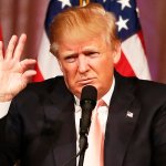 trump measure short