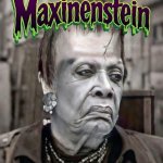 Maxinenstein template