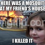 Disaster Girl | THERE WAS A MOSQUITO AT MY FRIEND'S HOUSE; I KILLED IT | image tagged in memes,disaster girl | made w/ Imgflip meme maker