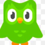 Dkdjdjskskdk Duolingo Spanish