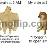 My brain at 2 PM; "i forgor how to open email" | My brain at 2 AM; My brain at 2 PM; "I will learn Esperanto, bake sourdough, and finally understand taxes."; "i forgor how to open email" | image tagged in memes,buff doge vs cheems,brain,3am,email,scumbag brain | made w/ Imgflip meme maker