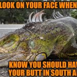 U Got the look | THE LOOK ON YOUR FACE WHEN YOU; KNOW YOU SHOULD HAVE KEPT YOUR BUTT IN SOUTH AMERICA | image tagged in u got the look | made w/ Imgflip meme maker