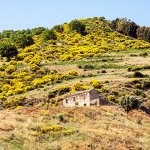 Send him 2 3 Calabria and forget