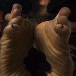 Lady dimotrescu soles