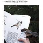 what did they say about me?