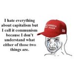 maga anti capitalism