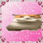 cat glitter dancing GIF Template