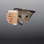 Vidplug (link in comments)