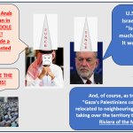 Wasted Republican Arab Votes meme