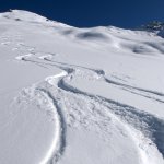 tracks in the snow | Spuren im Schnee