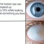 the human eye