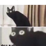 Oh no cat | When parents walk in | image tagged in oh no cat | made w/ Imgflip meme maker