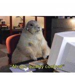 Castor quality content