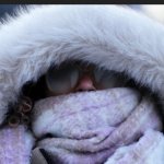 Robin at Myrtle Beach today