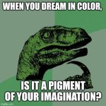 Deep Sleep Thinking | WHEN YOU DREAM IN COLOR, IS IT A PIGMENT OF YOUR IMAGINATION? | image tagged in memes,philosoraptor | made w/ Imgflip meme maker