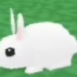 what a cute bunny I wonder what it will say meme